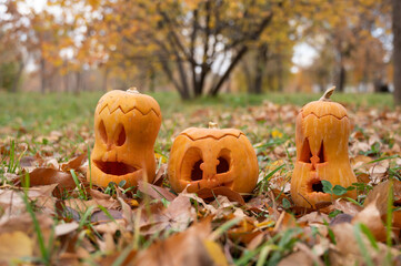 Wall Mural - Three jack-o-lantern pumpkins on fallen leaves in a park. Halloween decorations.