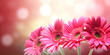 rosafarbene Gerbera Blumen, generative AI