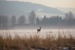 © Lasvu - Doe deer and a snowy environment. Generative AI