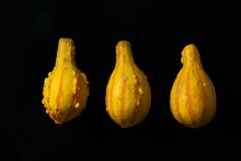Row Of Bright Yellow Gourds Isolated On A Black Background