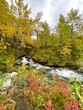 Rocky creek bed in an Autumn landscape scene