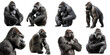© Smart Future - Gorilla set over png background created with Ai