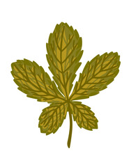 Wall Mural - Autumn green leaf vector illustration isolated on white background