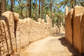 Wall Mural - Al Ula ruined old town street with palms along the road, Saudi Arabia