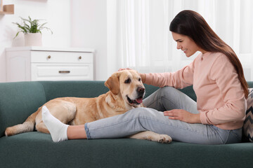 Poster - Happy woman with cute Labrador Retriever on sofa at home