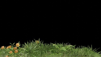 Aufkleber - grass field footage with wind plant animation transparent background design, 3d illustration rendering