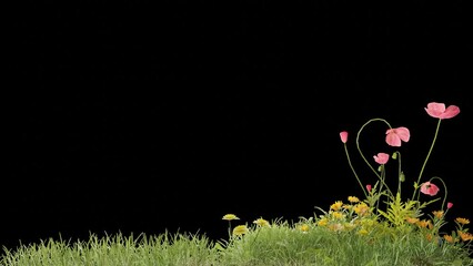 Aufkleber - grass field footage with wind plant animation transparent background design, 3d illustration rendering
