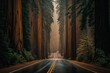 Forest Highway is foggy. Generative AI