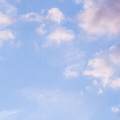 Wall Mural - blue sky background with pale pink clouds at sunset