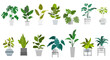 Flat vector Illustration of a foliage plant