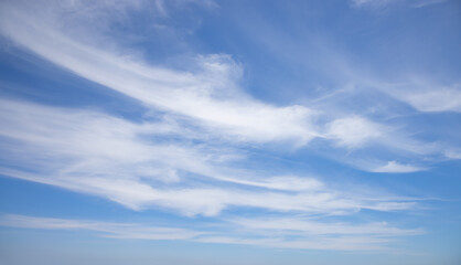 Poster - Blue sky and white clouds background - Pillowy clouds cover a blue sky in the background