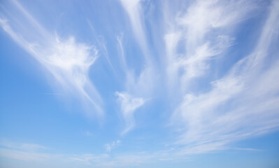 Wall Mural - Blue sky and white clouds background - Pillowy clouds cover a blue sky in the background