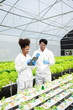 © Nuttapong punna - Biologist puts sprout in test tube for laboratory analyze. Two scientists stand in organic farm. laboratory in greenhouse.