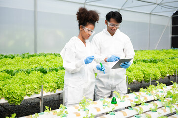 biologist puts sprout in test tube for laboratory analyze. two scientists stand in organic farm. che