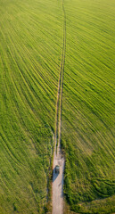Wall Mural - Aerial view of car SUV parked near countryside road in field rural landscape. Aerial view of car SUV parked near countryside road in summer field rural landscape. Vertical photo.