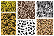 animal skin texture print set,vector illustration