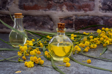 Wall Mural - Mimosa flowers. Essential bottle of mimosa flowers for aromatherapy. natural essential oil