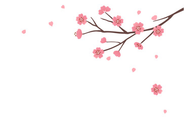 cherry blossom branch sakura flower and flying petals isolated on white background vector illustrati