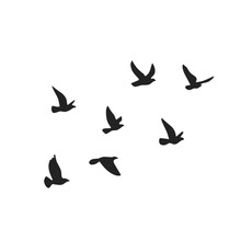 Vector Silhouette Of A Flying Bird 