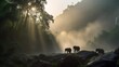 Elephants passing through rural forest in kerala