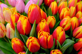 Fototapeta Tulipany - Set of bouquets of tulips of different colors in a street stall selling flowers, Estonia.