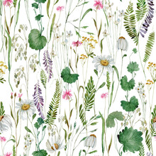 Watercolor Delicate Wildflowers Floral Seamless Pattern. Blooming Meadow Tile. Hand Drawn Elegant,  
Botanical Background. Repeatable Boho Texture, Wrapping Paper, Wallpaper, Fabric, Paper, Textile