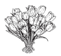 Sticker - Bouquet of tulips hand drawn sketch illustration Flowers