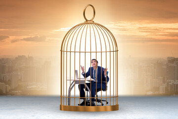 Wall Mural - Businessman caught in the cage