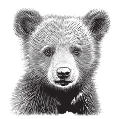 bear cub face sketch hand drawn cartoon style illustration