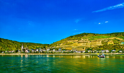 Wall Mural - Landscape of Lorch town in the Rhine Gorge with St. Martin Church in Germany