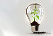 A light bulb growing in soil with sunshine and water promotes the creative idea of hydroponic horticulture for sustainable energy and environment concept. on white background. Ai Generative