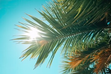  Tropical Palm Tree with Green Branches and Blue Sky AI generated