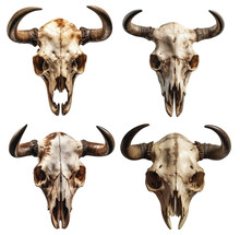 Four Skulls Of Cows Or Bulls With Horns On A Transparent Background, Generative AI