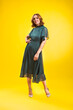 © Igor Borodin - Elegant fashion. Stunning woman in elegant long dress in studio stands on a yellow sunny background.