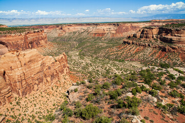 Wall Mural - Overlook at Colorado National Monument