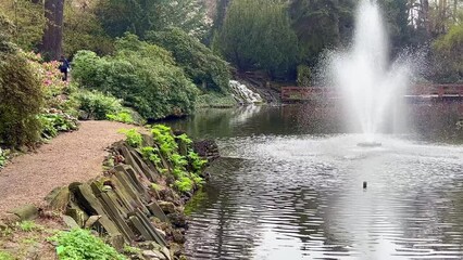 Wall Mural - beautiful fountain in the pond in the park