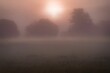 Beautiful shot of a misty sunset sky over a field with trees