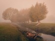 Beautiful shot of a river flowing through a field on a foggy day