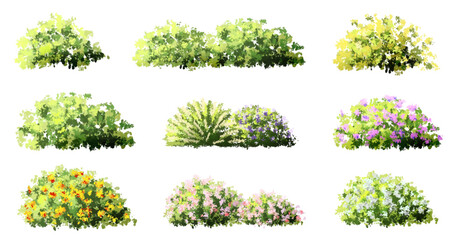 Wall Mural - vector watercolor blooming flower tree side view isolated on white background for landscape and arch