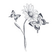 Black silhouettes of grass, flowers and butterflies isolated on white background. Hand drawn sketch flowers and insects.