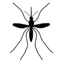 Vector Mosquito Black Silhouette Icon Isolated On A White Background. Insect Icon. Top View Of A Mosquito Silhouette On A Square White Background.