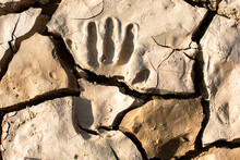 Close Up Of A Handprint In Dried Mud