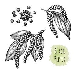 Canvas Print - black pepper and peppercorns.