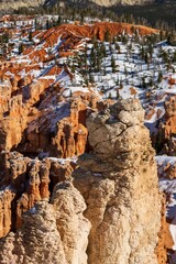 Poster - Beautiful view of red rock formations in Bryce Canyon National Park, Utah, United States