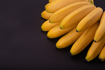 Wall Mural - Branch baby bananas