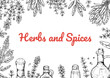 © Kseniia - Herbs and spices horizontal design. Hand draw background with cooking ingredients in sketch style. Detailed vector illustration
