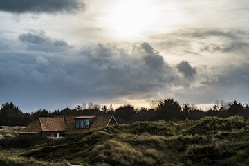 Wall Mural - Wangerooges Strand und Dünen im Dezember