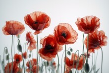 Red Poppies Poppy On A White Background Artistic Detail, Generative Ai