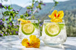 canvas print picture - Iced lemonade with edible nasturtium flowers, lime and mint leaves. Refreshing summer drink. Healthy organic summer soda drink. Detox water. Diet unalcolic coctail.