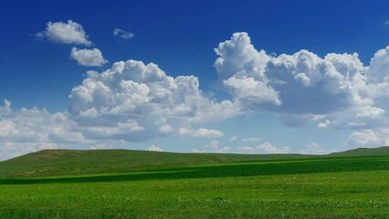 Wall Mural - green hill with grass under cloudy sky, panorama timelapse